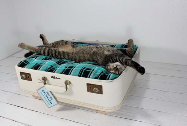 куфар легло за котки